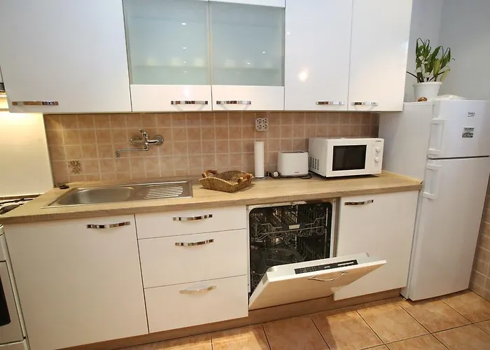 Tomislav * 스플리트